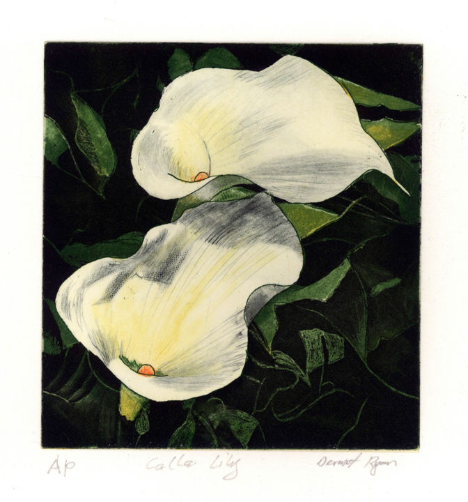Incisioni, stampe intitolato ""Cala Lily"" da Dermot Ryan, Opera d'arte originale, Acquaforte
