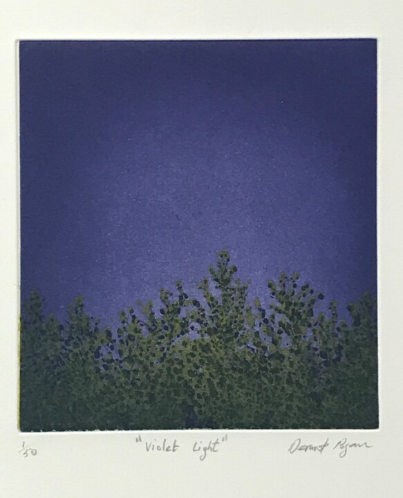 Incisioni, stampe intitolato ""Violet Light"" da Dermot Ryan, Opera d'arte originale, Acquaforte