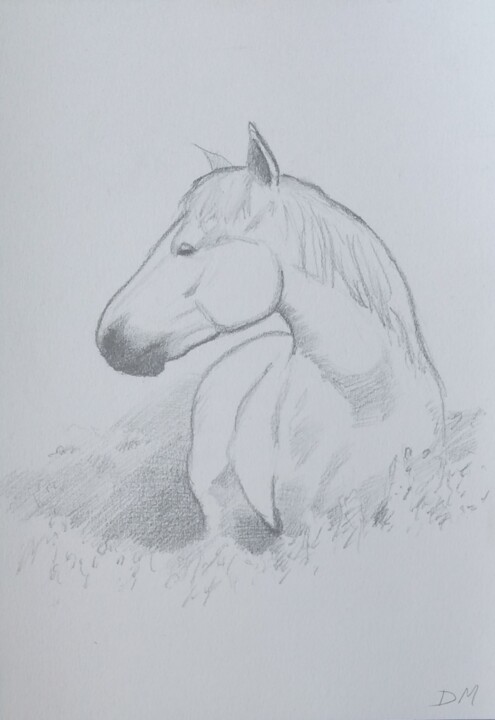 Zeichnungen mit dem Titel "Horse sketch" von Déryck Maindron, Original-Kunstwerk, Graphit