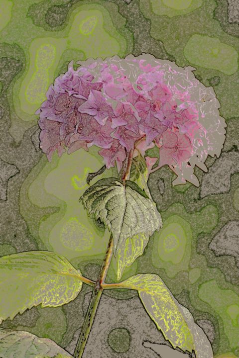 Arts numériques intitulée "La fleur d'hortensia" par René Desenne, Œuvre d'art originale, Autre