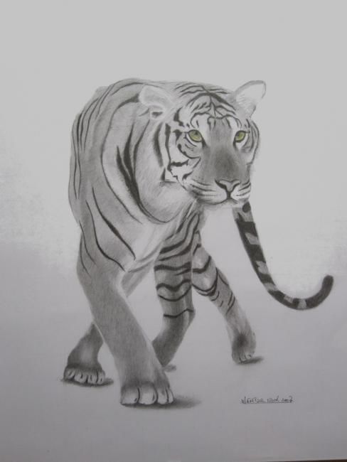Dessin intitulée "Tigre3" par Dessinangel, Œuvre d'art originale