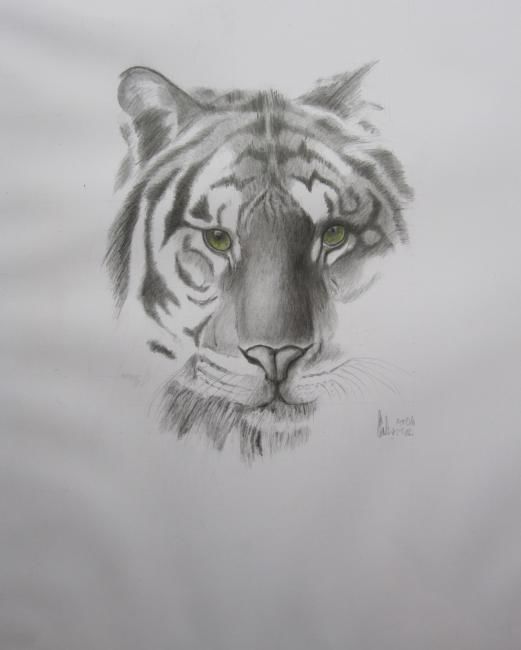 Dessin intitulée "Tête de tigre" par Dessinangel, Œuvre d'art originale