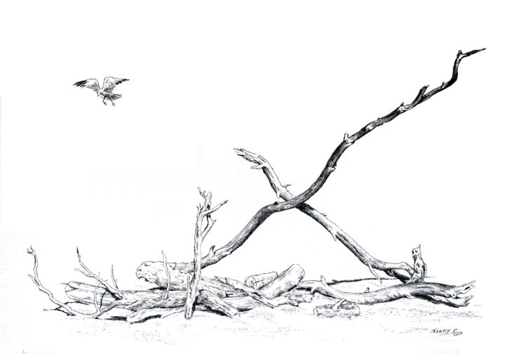 Drawing titled "Bois croisés" by Pierre Fabry, Original Artwork, Ink