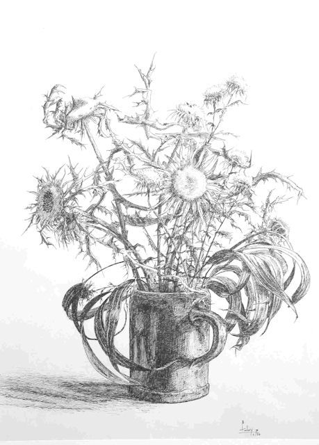 Drawing titled "Bouquet qui pique" by Pierre Fabry, Original Artwork, Other