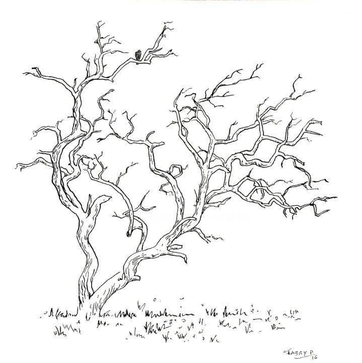 Dibujo titulada "Arbre nu" por Pierre Fabry, Obra de arte original, Tinta