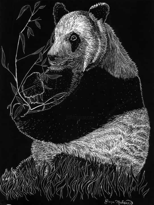 Prenten & gravures getiteld "Panda" door Fiona Maude Malseed-Viollet, Origineel Kunstwerk, Ets Gemonteerd op Andere stijve p…