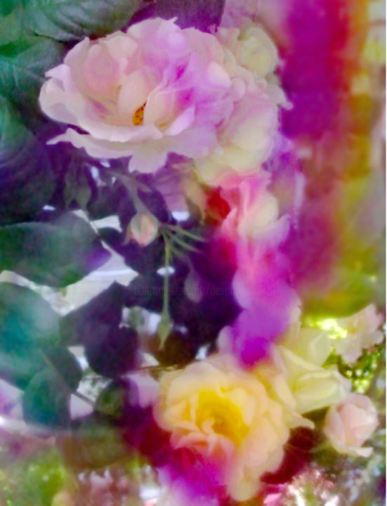 Photography titled "Inviolate Rose" by Devorah Rosen, Original Art,