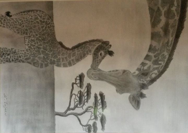 Drawing titled "giraffe" by Nordin, Original Artwork, Pencil