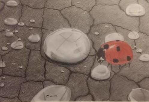 Drawing titled "coccinella" by Nordin, Original Artwork, Pastel