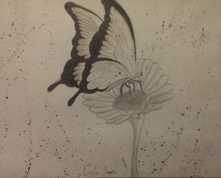 Drawing titled "farfalla" by Nordin, Original Artwork, Pencil