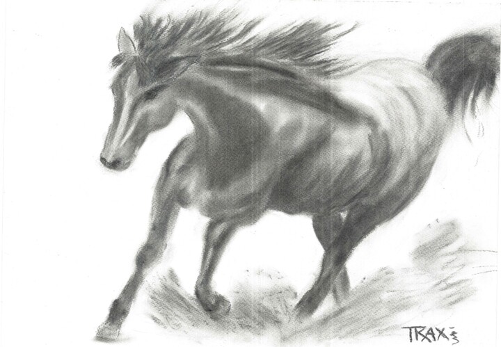 Drawing titled "Running Horse Charc…" by Diana Dimova - Traxi, Original Artwork, Charcoal