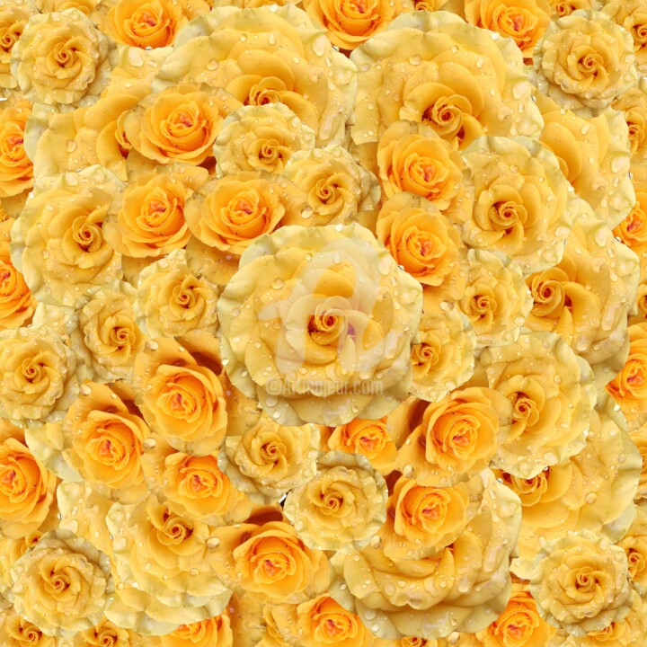 Photography titled "Yellow rose pattern" by Diana Editoiu, Original Artwork, Manipulated Photography