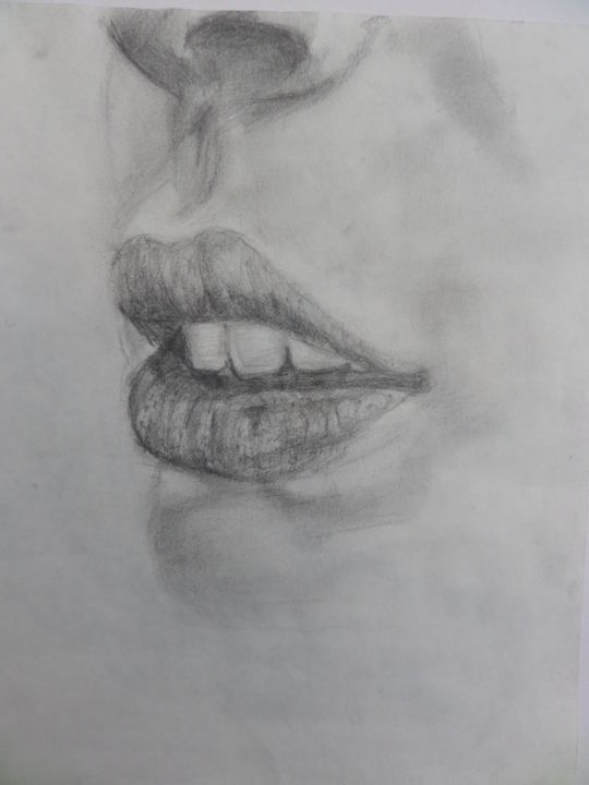 Dessin intitulée "lips" par Diana Pereyra, Œuvre d'art originale, Crayon