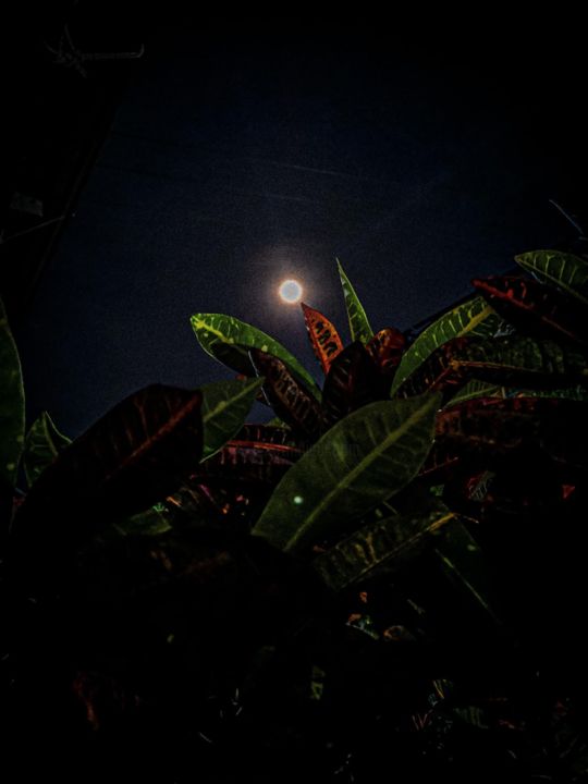Photography titled "Moonlight of Vu Dai…" by Diana Rubiano, Original Artwork, Analog photography