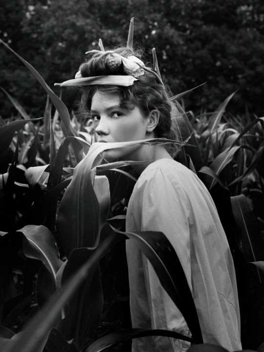 Фотография под названием "Silance - from CORN…" - Diana Kondra, Подлинное произведение искусства, Цифровая фотография