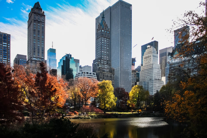 Photographie intitulée "Central Park Landsc…" par Diana Rivera, Œuvre d'art originale, Photographie numérique