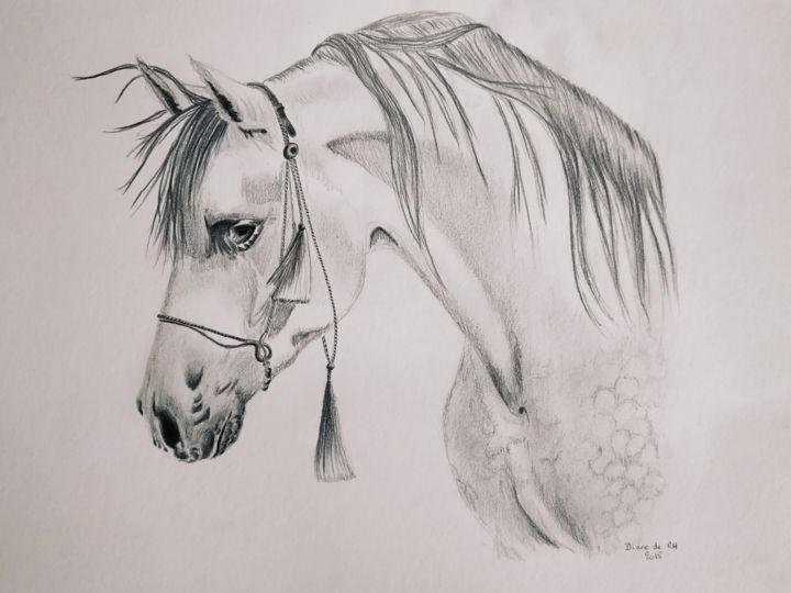 Drawing titled "Cheval arabe" by Dianederh, Original Artwork, Pencil