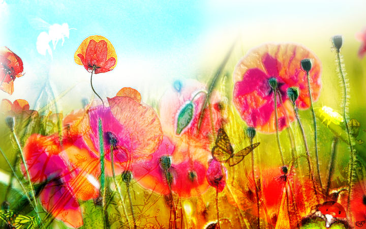 Digital Arts titled "coquelicot" by Did, Original Artwork