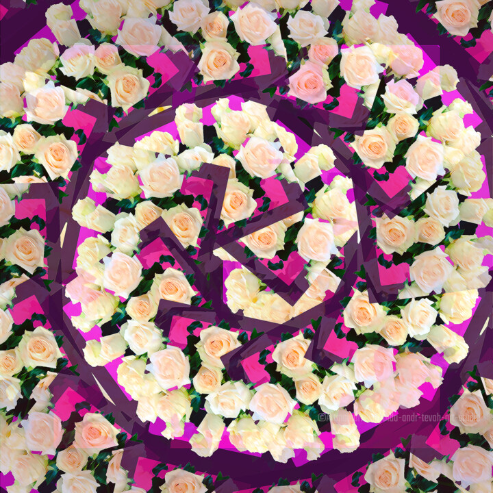Digitale Kunst mit dem Titel "Swirl of Roses" von Dida Andr & Tevah.Art Studio, Original-Kunstwerk, Manipulierte Fotografie