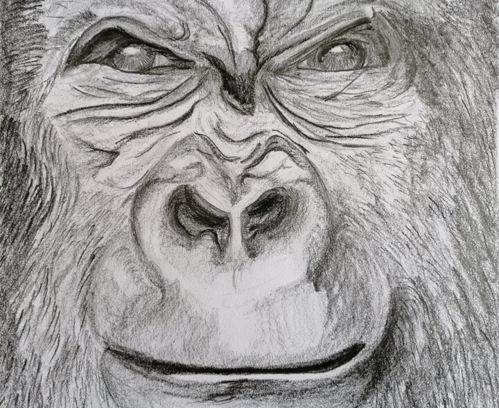 Dessin intitulée "Le gorille" par Didier Piron, Œuvre d'art originale, Crayon