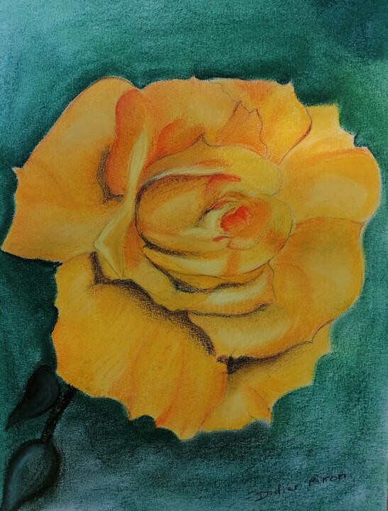 Dessin intitulée "La rose jaune" par Didier Piron, Œuvre d'art originale, Pastel