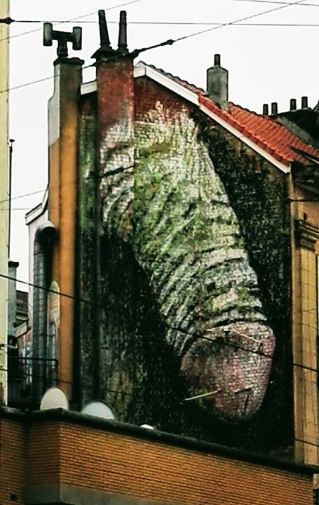 Photographie intitulée "graffe-de-bruxelles…" par Didier Moons, Œuvre d'art originale