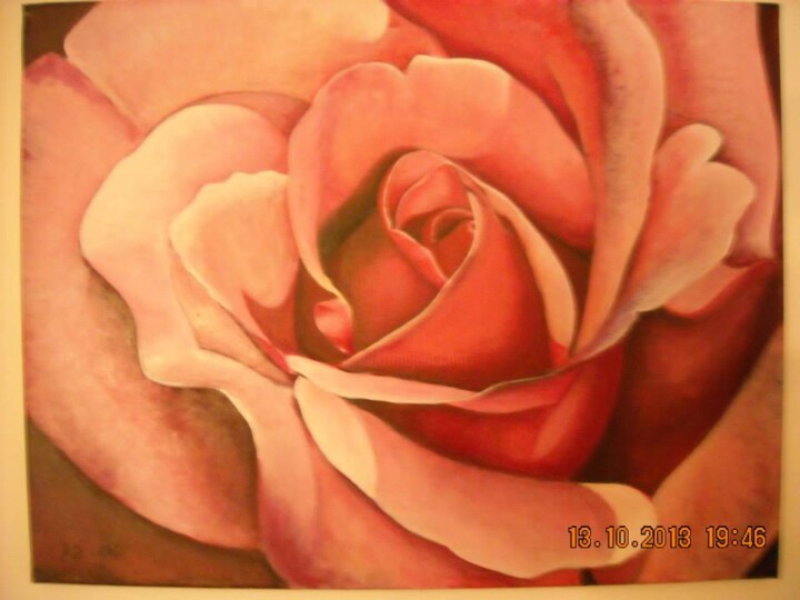 Painting titled "La rose gracieuse" by Didier Suard, Original Artwork, Acrylic