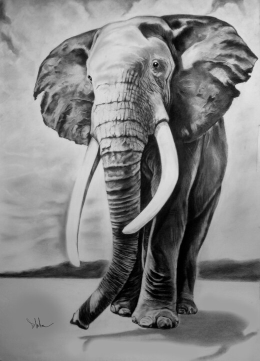 Drawing titled "Elephant" by Diego Martínez (Plata), Original Artwork, Charcoal