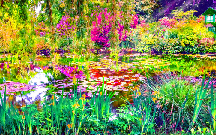 Photography titled "Swimming in Monet's…" by Diego Stamato, Original Artwork, Manipulated Photography