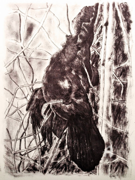 Druckgrafik mit dem Titel "Krähe - Crow" von Dietmar Egger, Original-Kunstwerk, Lithographie