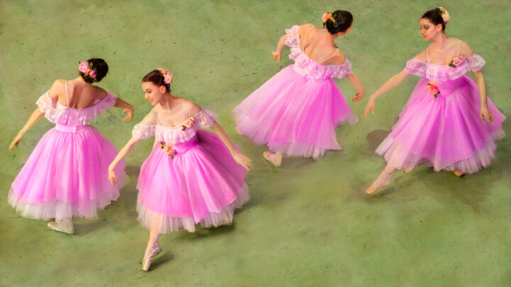Fotografia intitolato "Pink Dance" da Dietmar Scherf, Opera d'arte originale, Fotografia digitale Montato su Alluminio