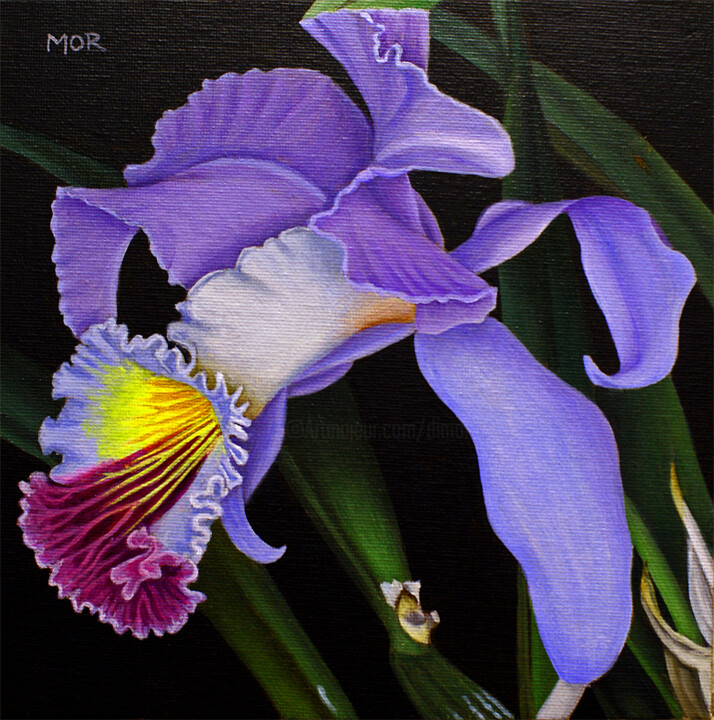 Malerei mit dem Titel "Cattleya Mendelii" von Dietrich Moravec, Original-Kunstwerk, Acryl