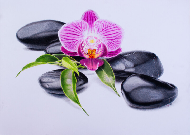 Dessin intitulée "Pebbles and Orchid" par Dietrich Moravec, Œuvre d'art originale, Conté
