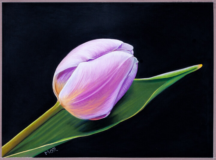 Zeichnungen mit dem Titel "Tulip" von Dietrich Moravec, Original-Kunstwerk, Pastell