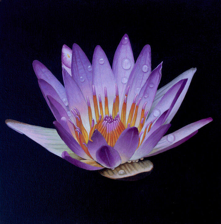 Pintura intitulada "Lotus Crown" por Dietrich Moravec, Obras de arte originais, Óleo Montado em Painel de madeira