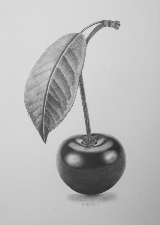 Drawing titled "Cherry with a Paras…" by Dietrich Moravec, Original Artwork, Pencil