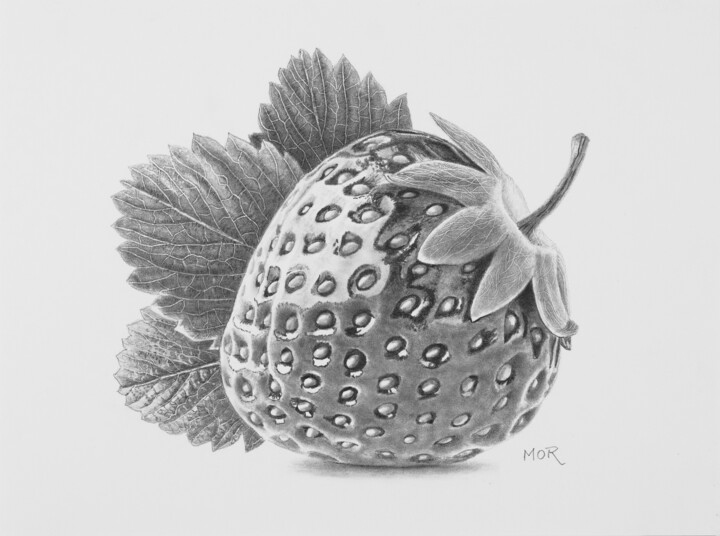 Dibujo titulada "Strawberry with Win…" por Dietrich Moravec, Obra de arte original, Lápiz