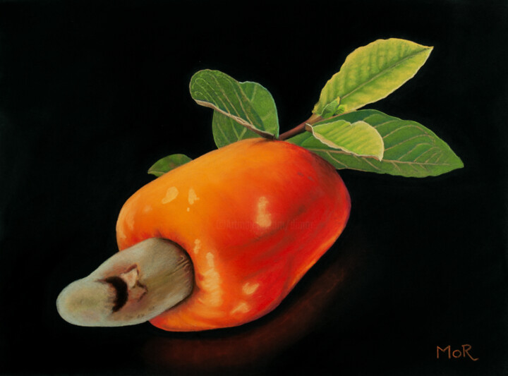 Peinture intitulée "Cashew Fruit" par Dietrich Moravec, Œuvre d'art originale, Pastel