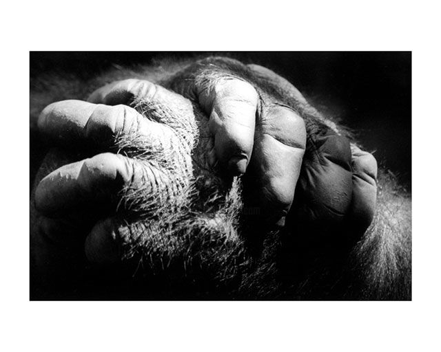 Photographie intitulée "The hands" par Partha Sen, Œuvre d'art originale