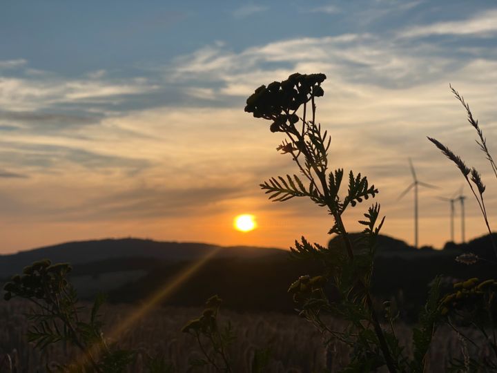 Fotografia intitulada "Sonnenuntergang" por Digital.Art.Duo, Obras de arte originais, Fotografia Não Manipulada