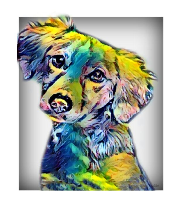 Pintura intitulada "Golden Retriever do…" por Digital Artist, Obras de arte originais, Pintura digital