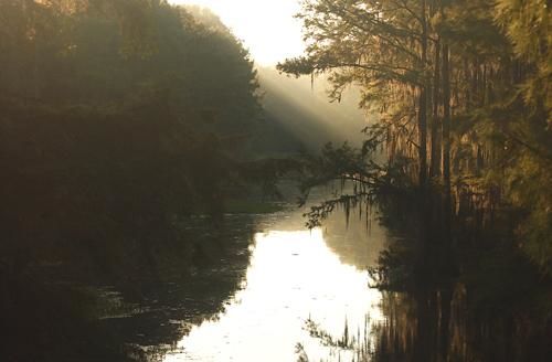Fotografía titulada "Louisiana Bayou Sun…" por Keith Skinner, Obra de arte original