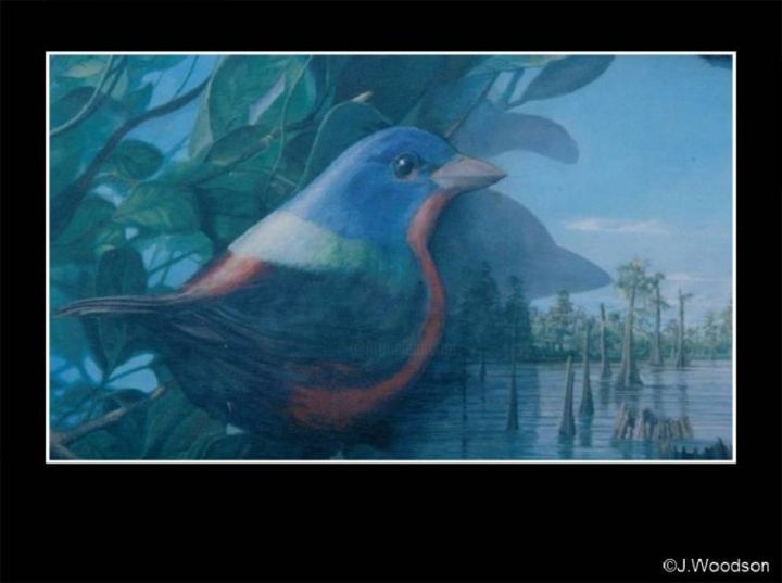 Photography titled "Bird Mural" by Jennifer Woodson, Original Artwork