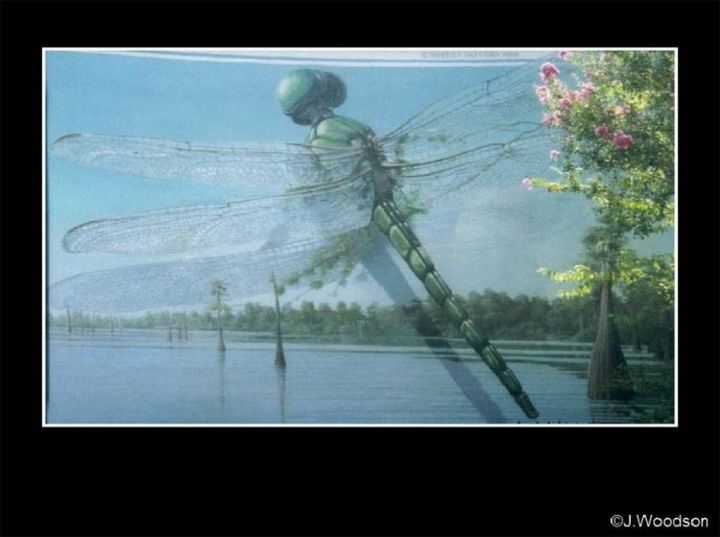 Photographie intitulée "Dragonfly Mural" par Jennifer Woodson, Œuvre d'art originale