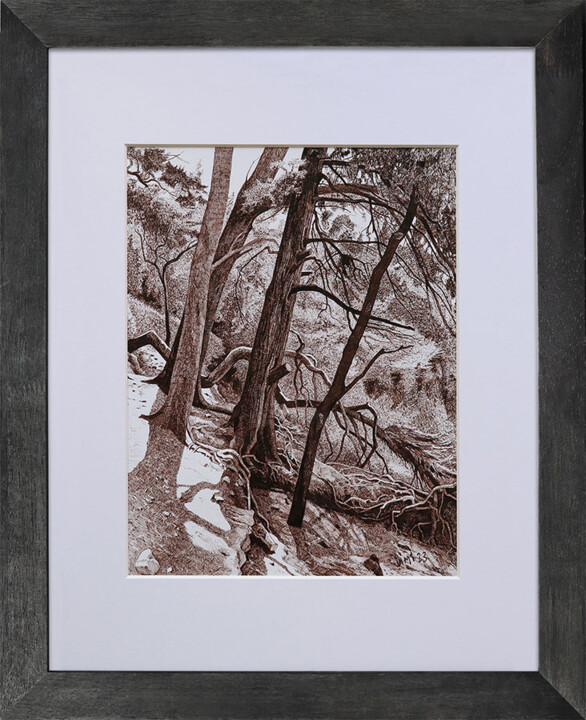 Drawing titled "ARBRES À CAP D'ANTI…" by Dimi Tabacelea, Original Artwork, Ink Mounted on Cardboard