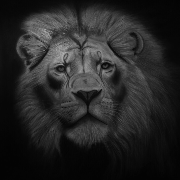 Drawing titled "Lion" by Dimitar Georgiev, Original Artwork, Graphite