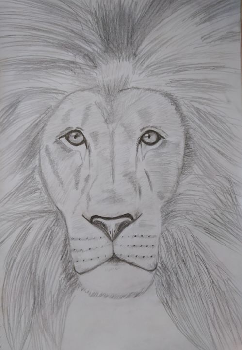 Peinture intitulée "Lion" par Dimitra Ger, Œuvre d'art originale, Graphite