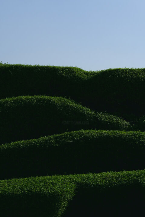 Fotografia intitolato "Levels of green" da Dimitrios Paterakis, Opera d'arte originale, Fotografia digitale