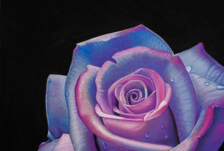 Purple and pink rose cheek art
