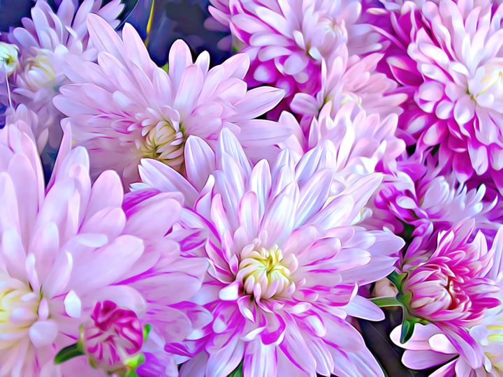 Fleur Chrysantheme Peinture Painting By Divine Kanza Artmajeur Fleur Chrysantheme Peinture Painting By Divine Kanza Artmajeur